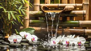 Spa Ambience with Bamboo and Orchids | Stress Relief 🌿🌸 screenshot 1
