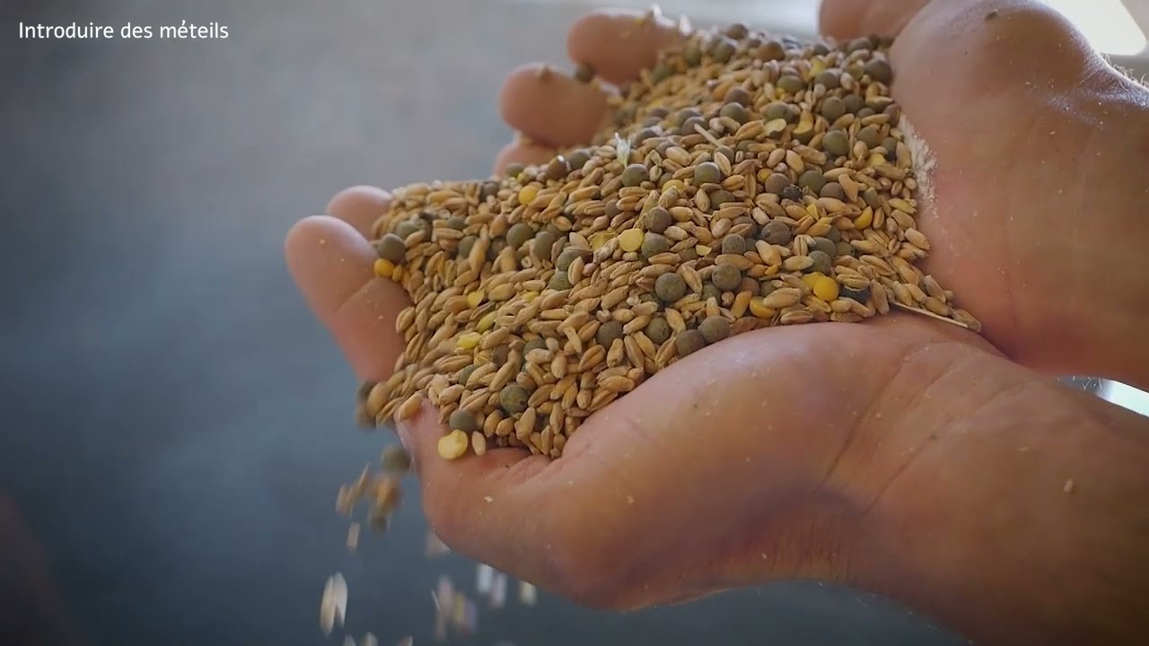 Introduire des méteils