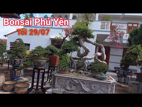 Video Vườn cây Bonsai nổi tiếng với những tác phẩm Hải Châu... - youtube