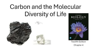 Carbon and the Molecular Diversity of Life - Part 1
