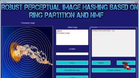 Final Year Projects | Robust Perceptual Image Hashing Based on Ring Partition and NMF