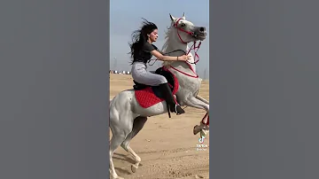من راسي ياسية 
