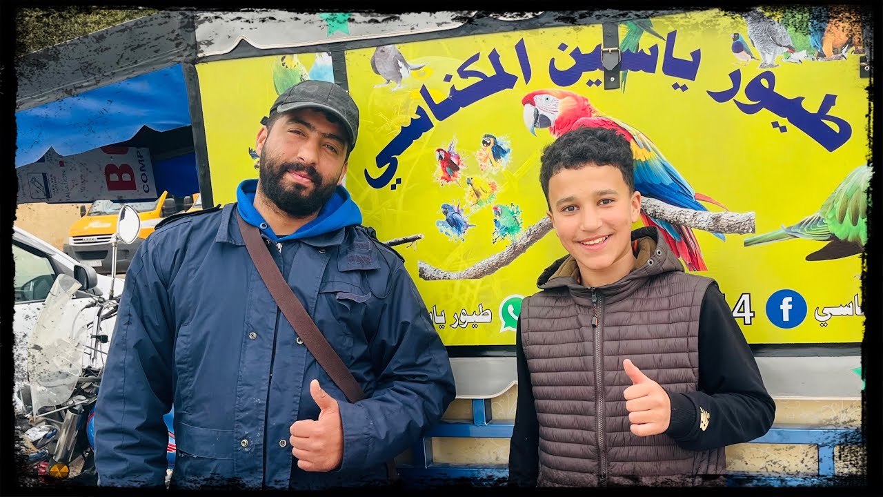 طيور🦜 للبيع عند الصديق👍 ياسين مرحبا🇲🇦 بالجميع🤩 تاريخ 1/3/2026