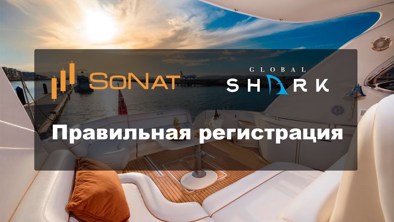 SoNat - Правильная регистрация - Инструкции для команды GlobalShark