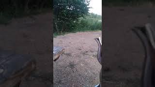 Bozlak Amatör Ses. (Karşıdan Karşıya Elmalı Dağlar)