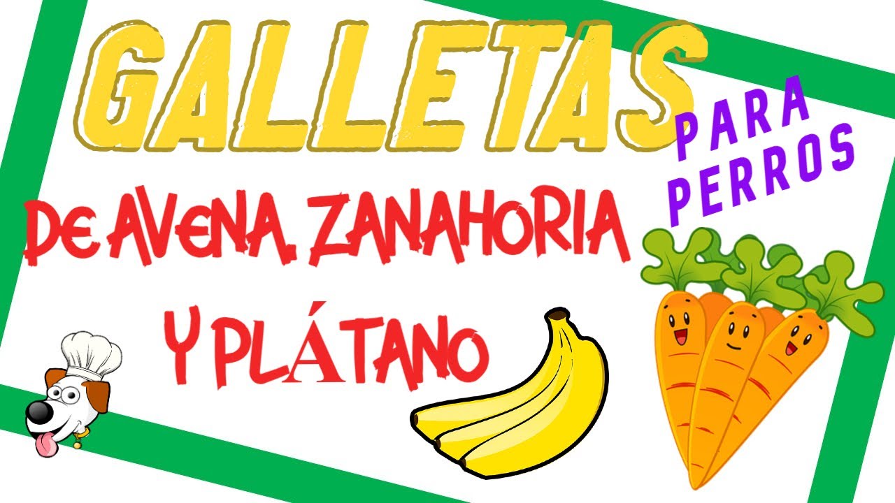 Galletas 🍪 de AVENA para PERROS!! 💚