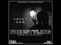 Smart gee  freestyling