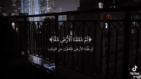 قتل الإنسان ماكفره - سورة عبس