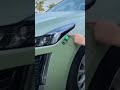 Video Image