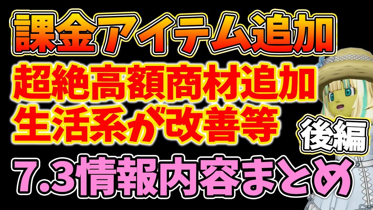 Dragon Quest 10: New paid items added, exploding in experience