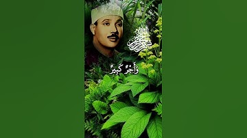 عبدالباسط عبدالصمد سورة هود من آيه 10 إلى اية 12 #اكسبلور_فولو