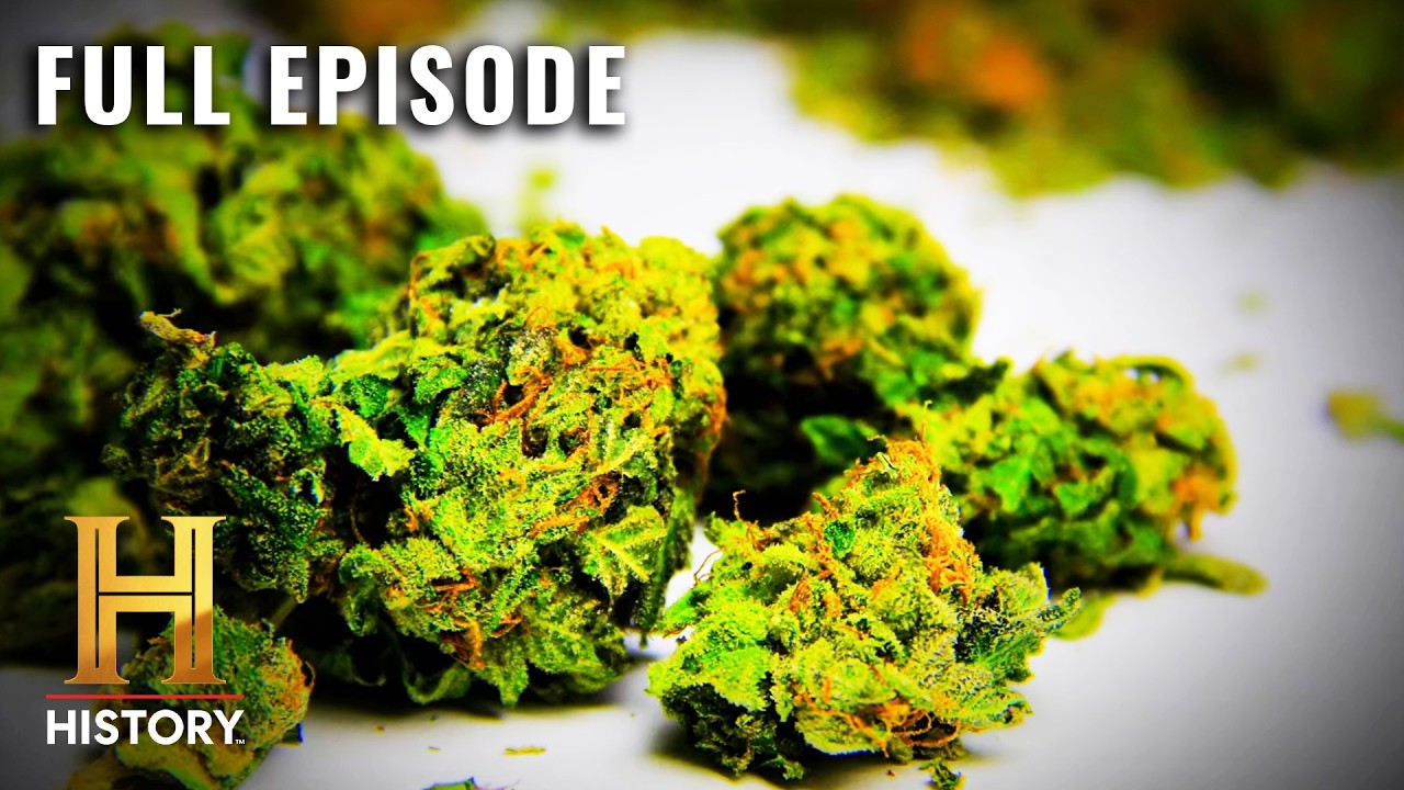 Documentary backdrop image for The Drug Wars (S2, E8) (2026)