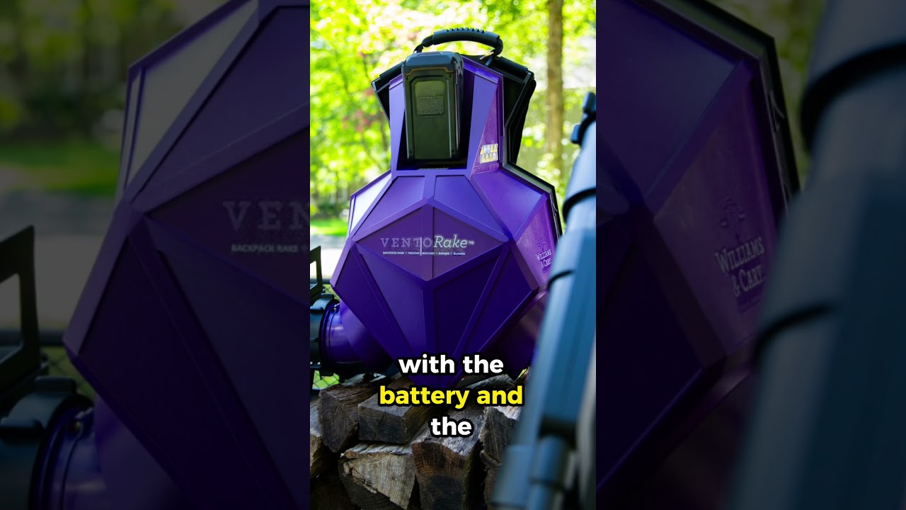 VentoRake Prelaunch Sale - Lime Design Podcast 