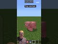 Building an Animal Pen in Minecraft for Math and Critical Thinking Lessons#minecrafteducation