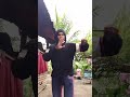 freestyle attack of with knife