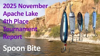 Download Lagu 2025 Nov Apache 4th Place MP3