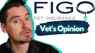 Figo Pet Insurance Vet