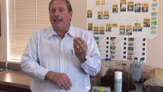 Flea Control : Which Diseases Do Fleas Carry?