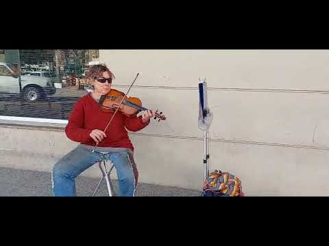Violines y flores en 6 y 83