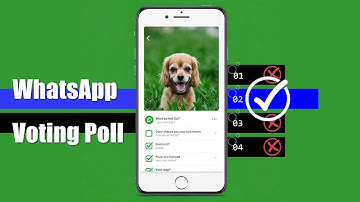 How to Create a Voting Poll in WhatsApp - Easy Step by Step Guide