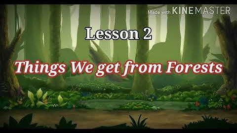 Xseed | Class 3 | EVS | Block 2 | Lesson 2