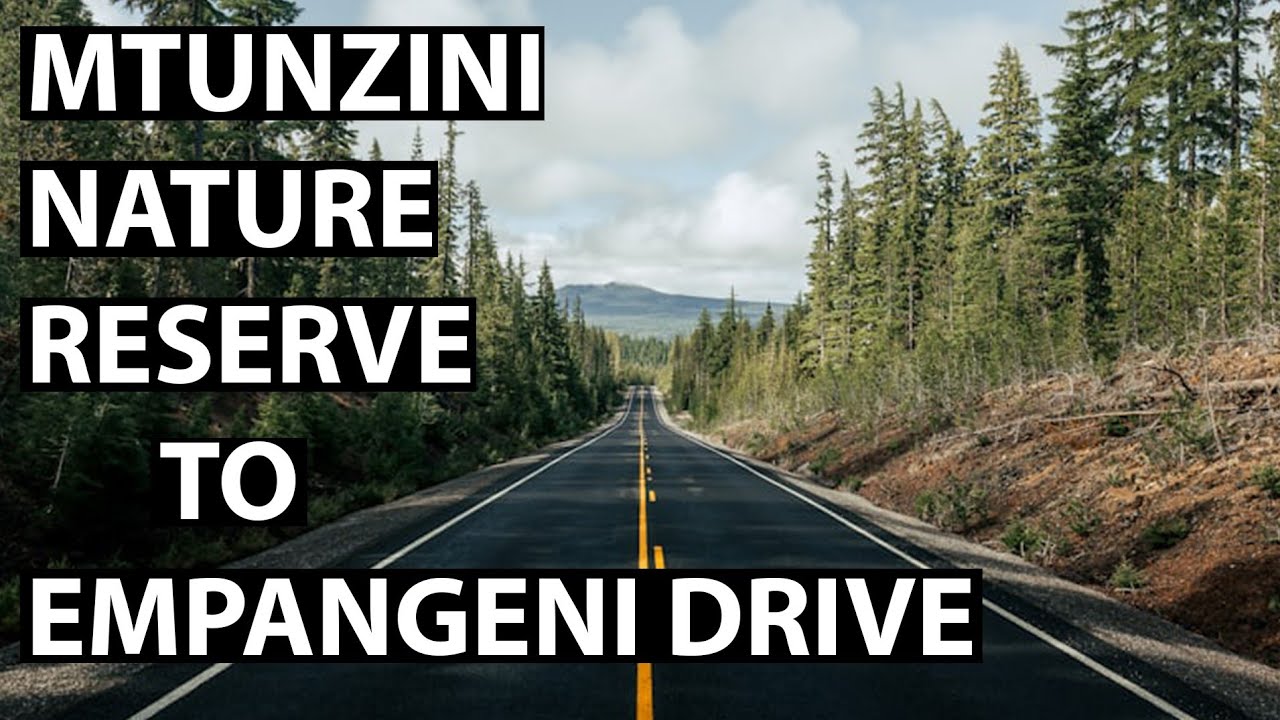 MTUNZINI NATURE RESERVE TO EMPANGENI DRIVE | N2 | KZN | SOUTH AFRICA #automobile  #travel  #car