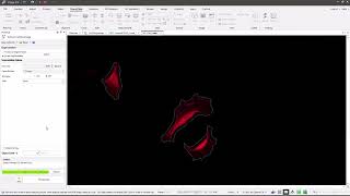 Image-Pro v11: Cell Biology Protocols - Cell Morphology