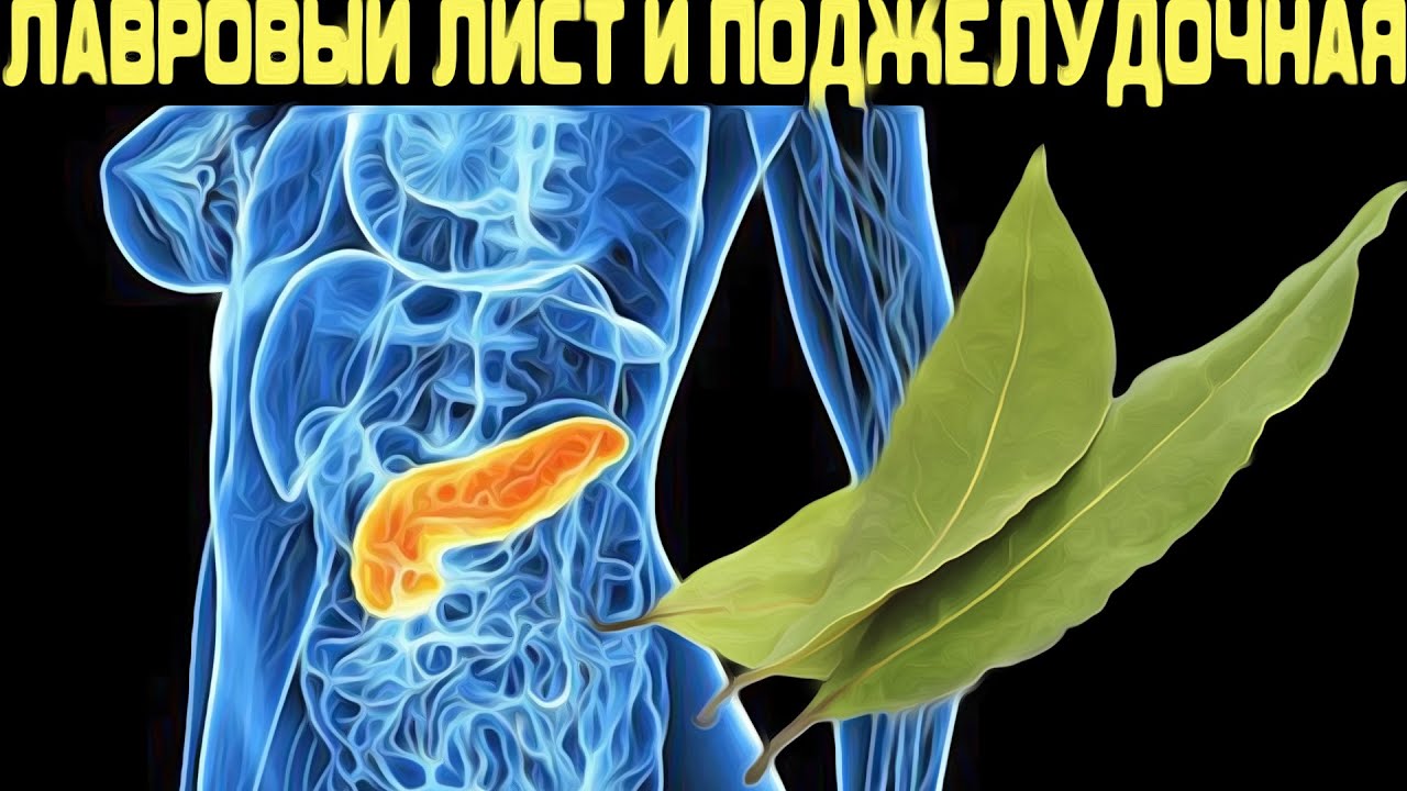 Что Лавровый Лист Делает С Поджелудочной Железой
