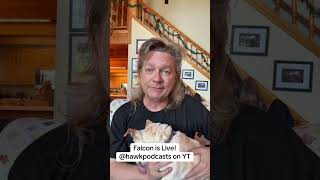 Falcon is Live! hawkpodcasts on YT