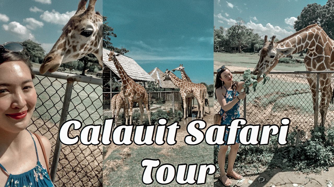 coron town to calauit safari