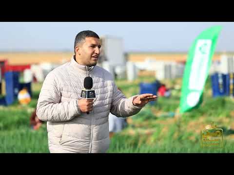 آل حقروص حريفة البصل الفوتون الياباني في قلب الإسماعيلية