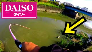 ダイソーの竿とリールセット使って町中の川でルアー釣り！