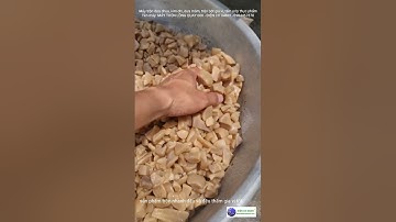 Máy trộn dưa muối, tẩm ướp thực phẩm - Điện Cơ Xanh - 0984467870