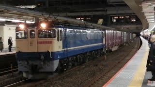 【4073レが1時間40分遅れで通過】EF65-2089号機+コキ 4073レ 海上コンテナ輸送 大宮駅通過