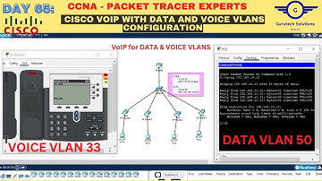 CCNA DAY 65: VOIP- Configuring Voice and Data VLANs | How to Configure VoIP for Voice & Data VLANs