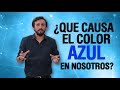 La Psicología del color AZUL | Miguel Figueroa & La Neurona Reina