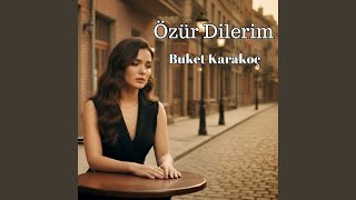 Özür Dilerim