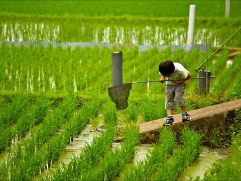 少年時代・清水昭編曲テナー２（MIDI）