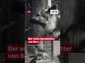Der erste Hundesitter von Bern (1959) #shorts #srfarchiv #archivperlen #Hundesitter