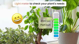 How to care for plants properly with PlantIn app? screenshot 4