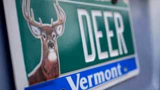 Get Your New Vermont Conservation License Plate