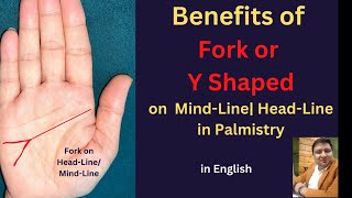 Fork sign on Mind line or Head Line| Y shaped Brain line - Mind Line in Palmistry in English Net Worth