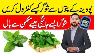 Mint Leaves Benefits For Diabetics Diabetes Control Food