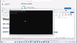 Fix Update KB5067036/KB5067931 Not Installing Install Error 0x800f0991 On Windows 11