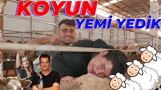 Su Cezali Challenge Koyun Yemi̇ Yedi̇k