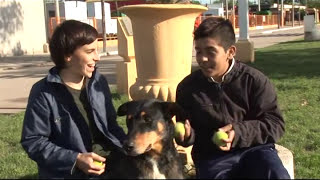 CINE CON VECINOS Cortometraje "TE DAMOS UNA MANO" (Rufino, Provincia de Santa Fe, Argentina)