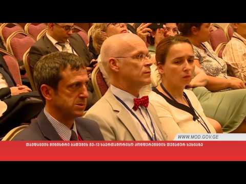 თავდაცვის მინისტრი ბათუმის მე-13 საერთაშორისო კონფერენციის თემატურ სესიაზე