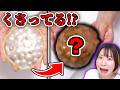 【閲覧注意】2年放置した手作りスクイーズが腐ってた!?😱やばい度MAXまで紹介していく…