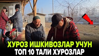 видео: ПАРВОЗЛАР УЧУН УДАР ЯНГИЛИК/1000$ СОТИЛМАГАН ЗУР (ХУРОЗ ИШКИБОЗЛАРИ) УЧУН картинка: ПАРВОЗЛАР УЧУН УДАР ЯНГИЛИК/1000$ СОТИЛМАГАН ЗУР (ХУРОЗ ИШКИБОЗЛАРИ) УЧУН