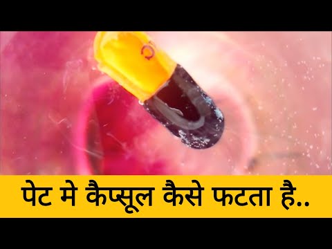 वीडियो: हैंडबैग के लिए प्रैक्टिकल स्टोरेज विचार